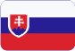Czech Digital Group, a. s. Slovensky